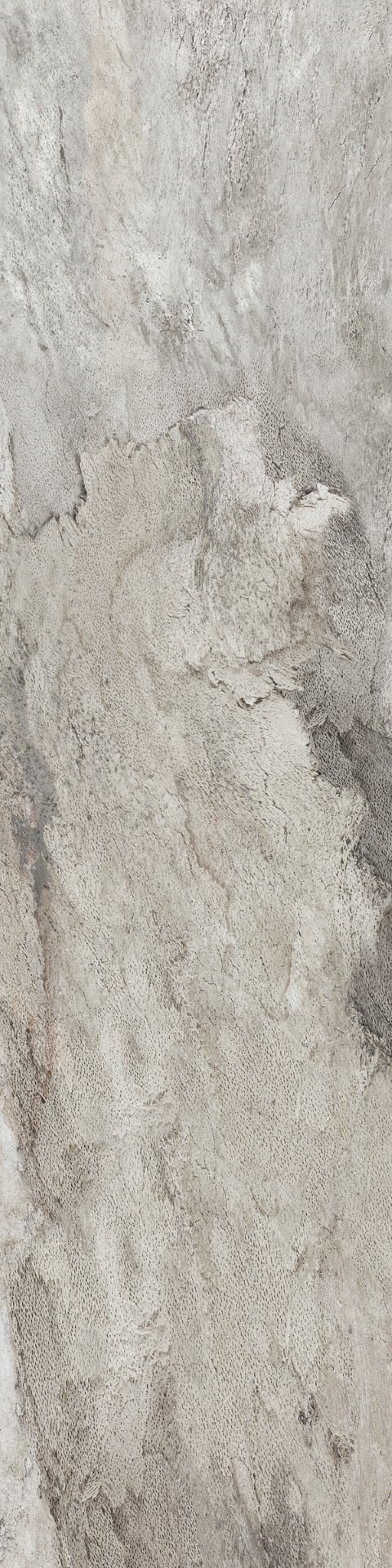 FOSSIL WOOD - NIRO GRANITE